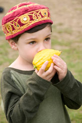 Sukkot Celebration1