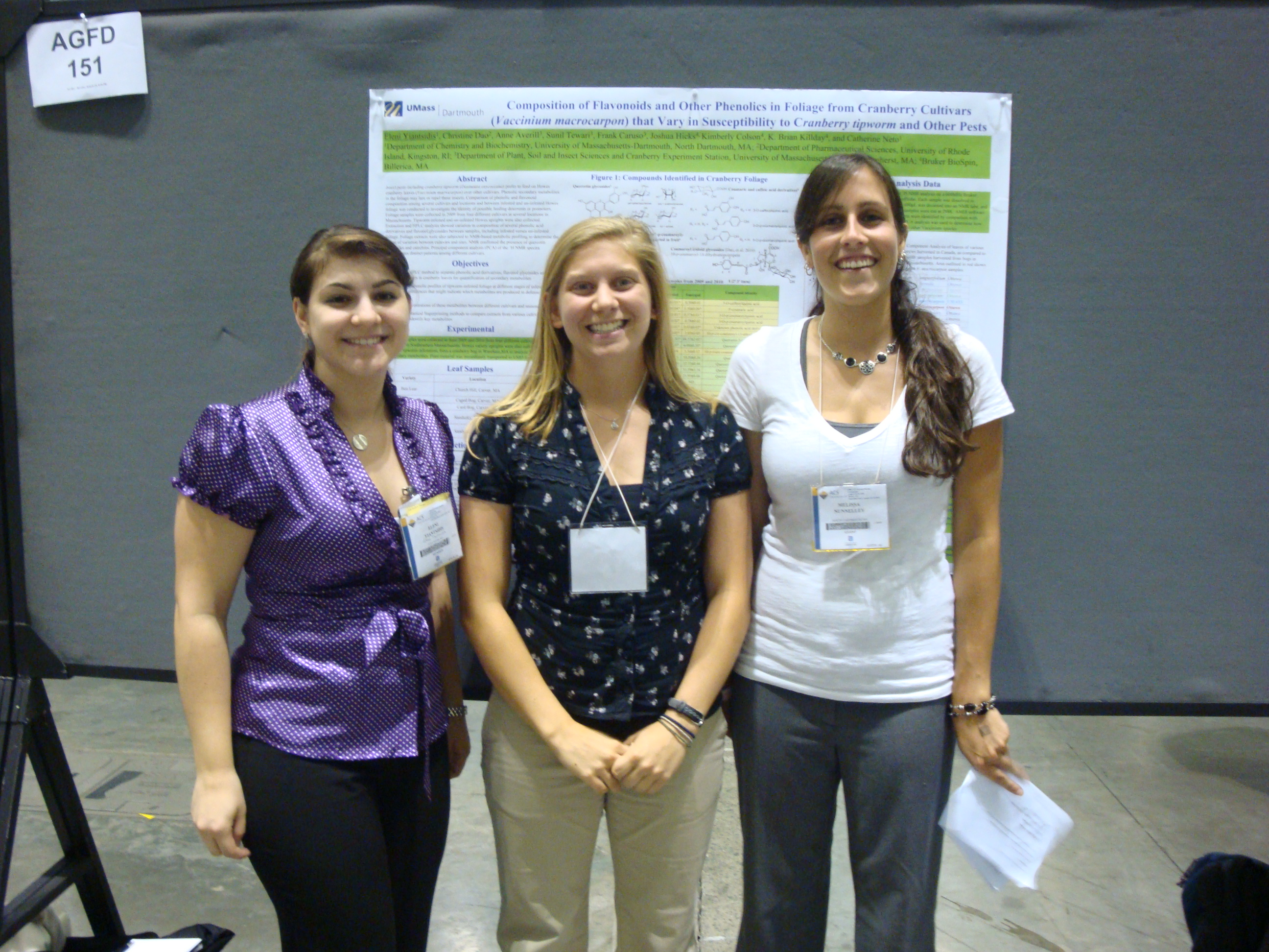 Neto 2010 Group