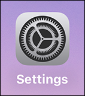 A picture of the iOS settings app icon