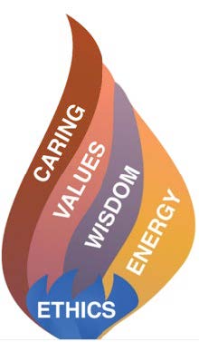 Diagram of ANA Professional Nursing Model (2021). A full description is provided in the figure caption, Figure 2.