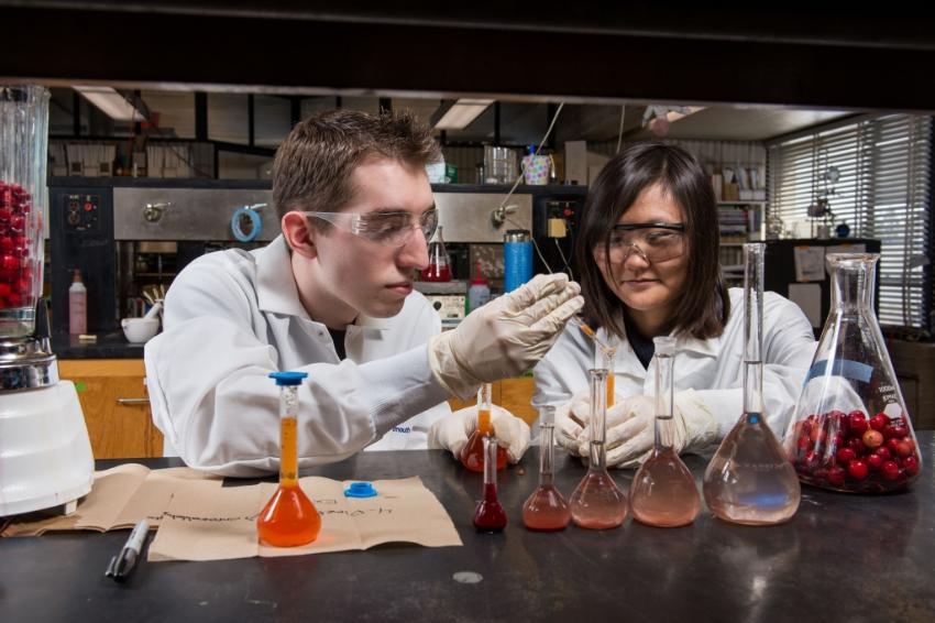 2018 Cancerfighting compounds of cranberries UMass Dartmouth