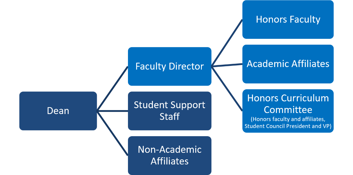 Tree chart showing Honors College Administrative Structure as follows. Dean. Under Dean: Faculty Director, Student Support Staff, and Non-Academic Affiliates. Under Faculty Director: Honors Faculty, Academic Affiliates, and Honors Curriculum Committee (Honors faculty, affiliates, Council President/VP)