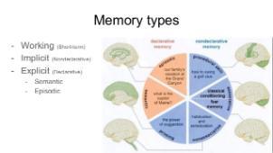 Schematic of different memory systems