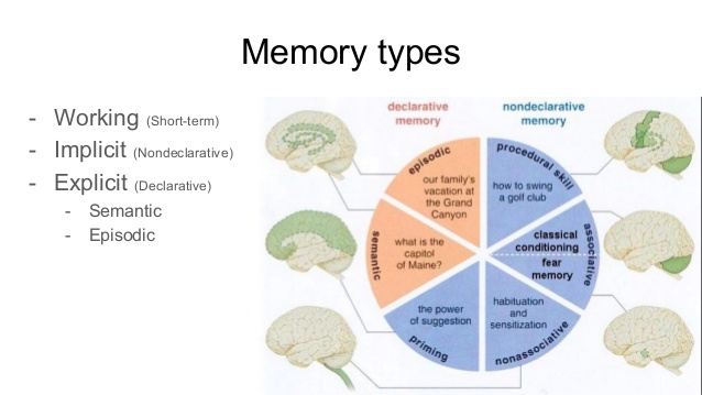 Schematic of different memory systems