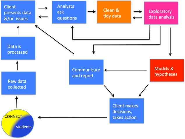 Schematic of the process of exploratory data analysis for a client