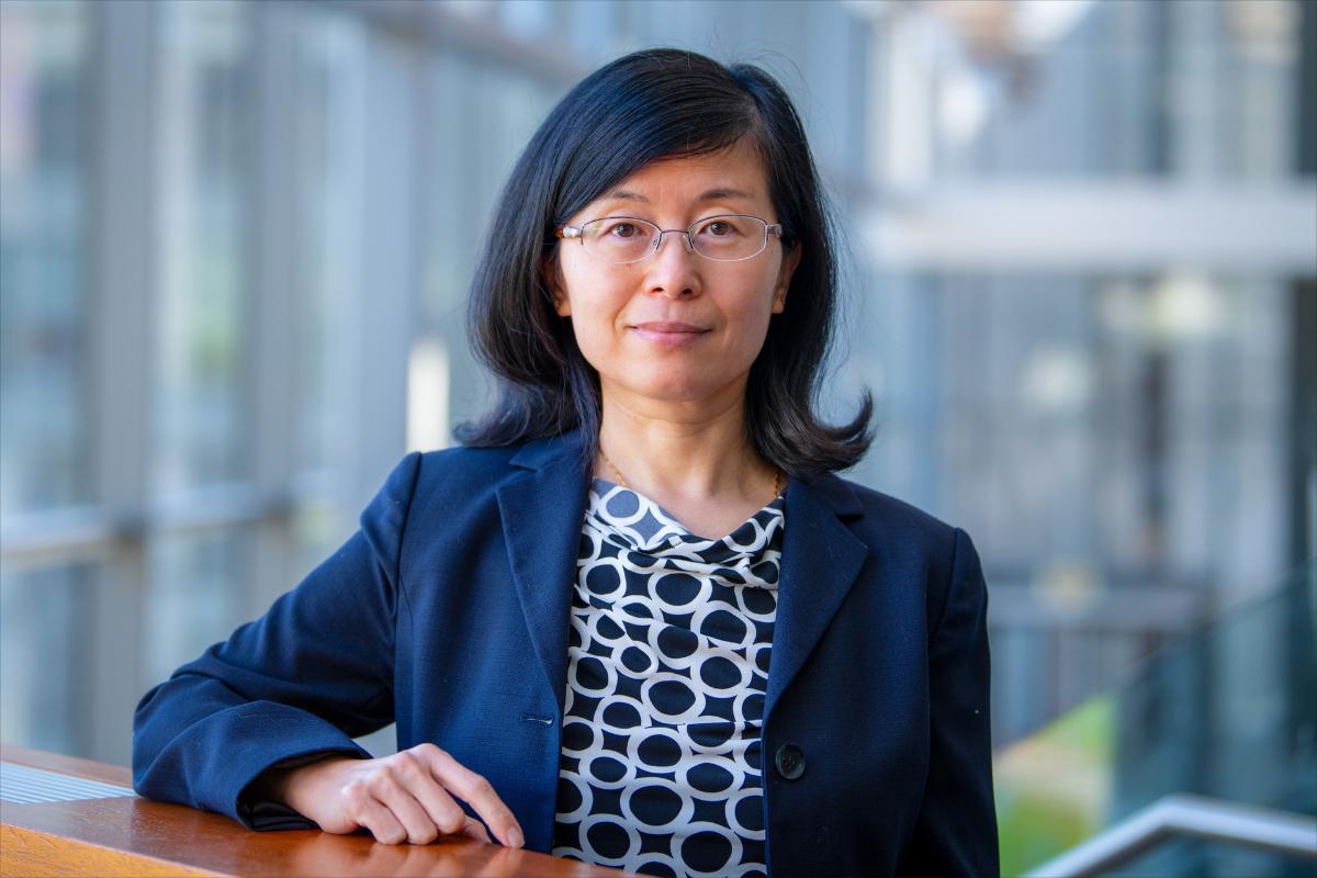 2026: Liudong Xing named a Star in Computer Networking and Communications