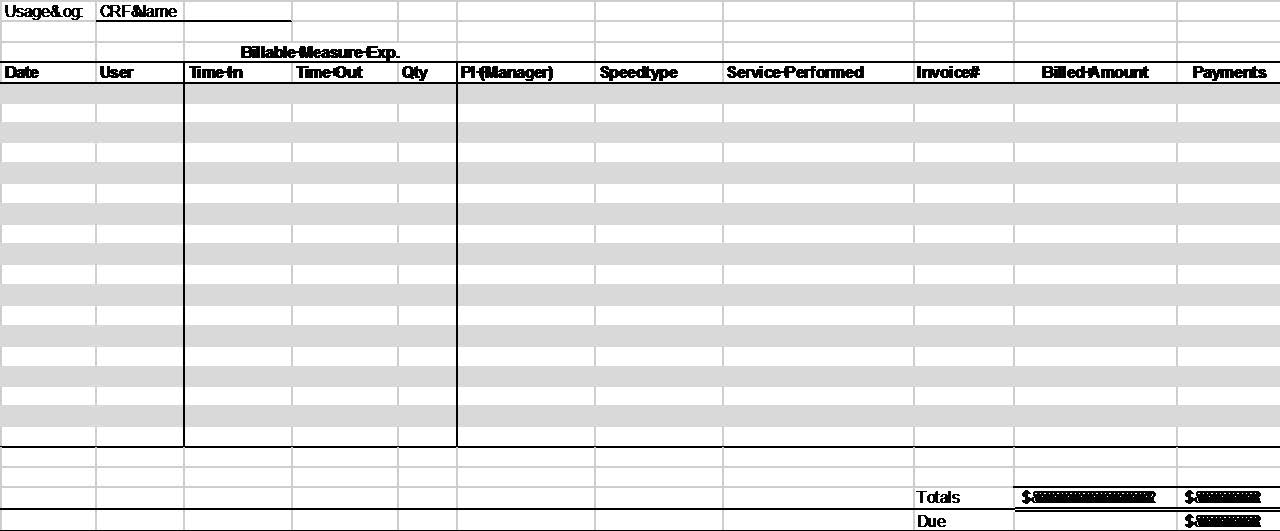 Example of a usage log template
