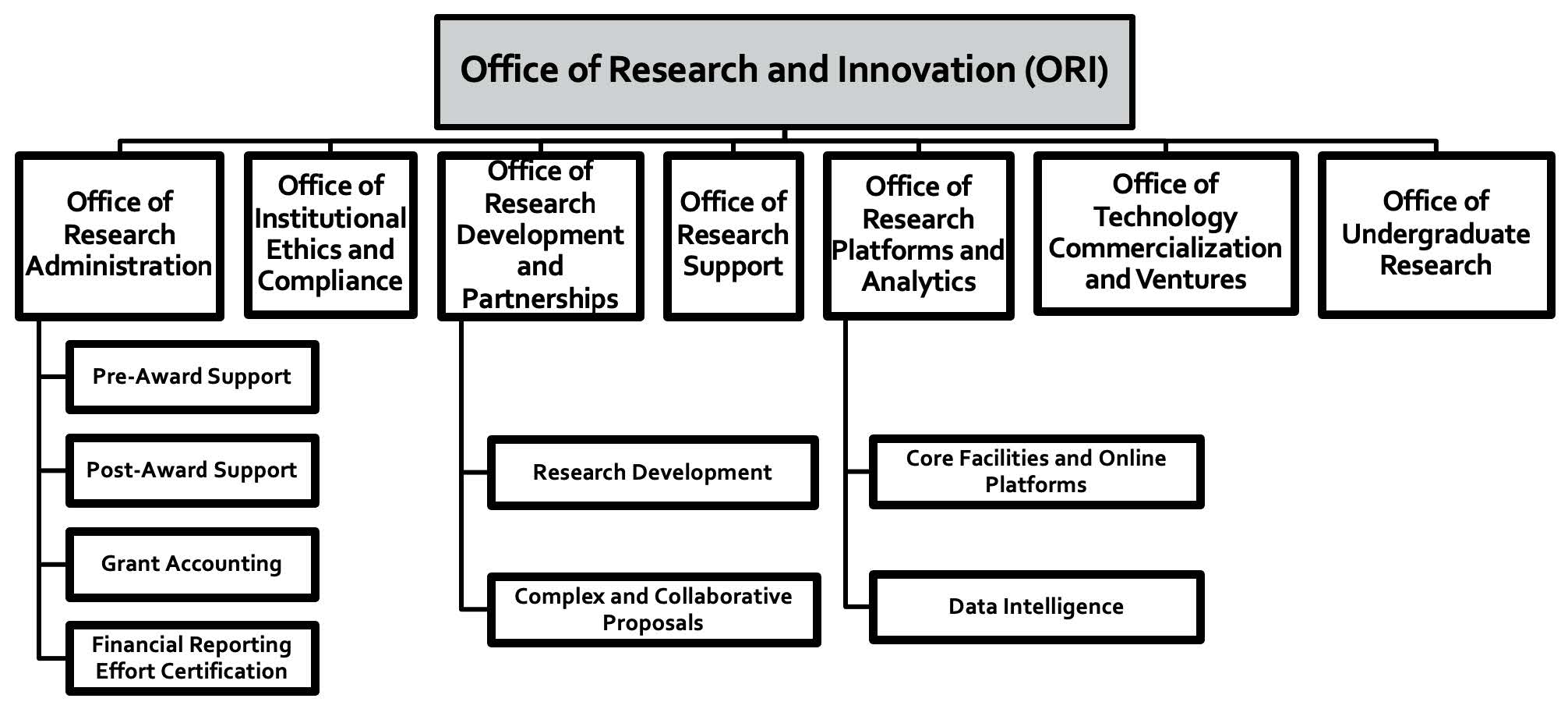ORI organizational structure infographic. Detailed explanation in following Figure 1.1 caption